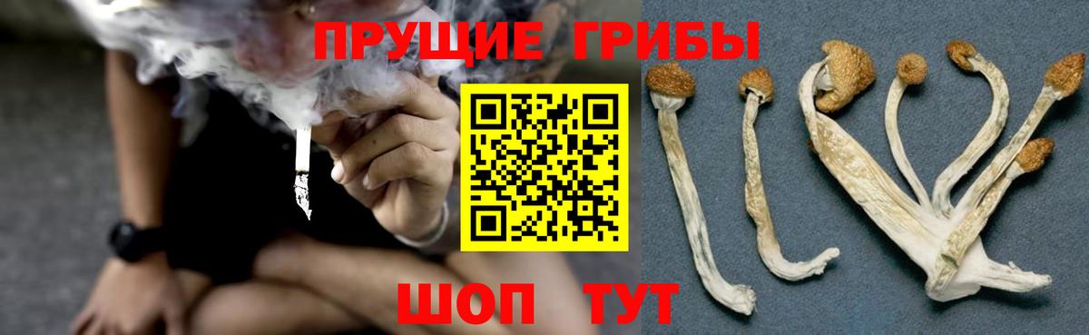Кизляр  Галлюциногенные грибы ЛСД  продажа наркотиков  Вход с VPN 