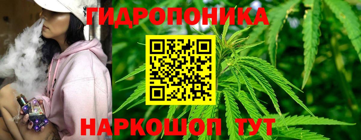 Бошки Шишки Ganja Кизляр